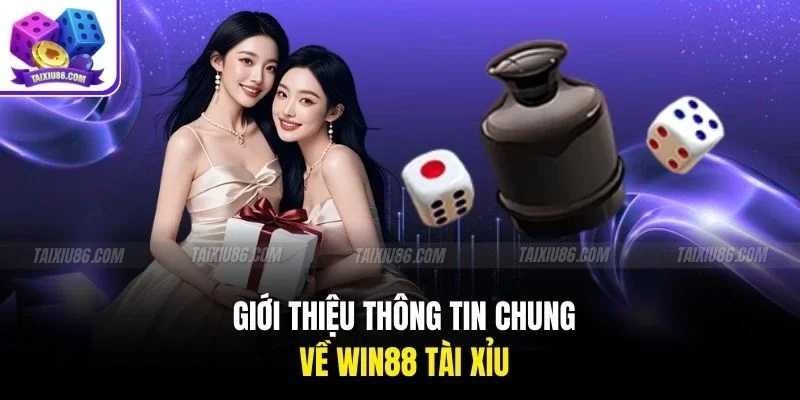 Giới thiệu thông tin chung về win88 tài xỉu